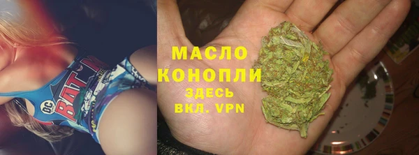 дмт Лабытнанги