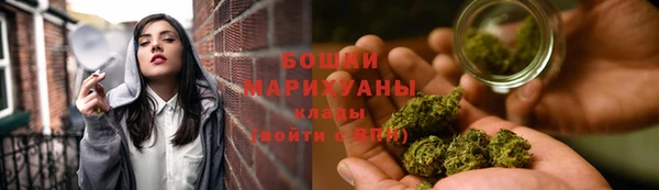 соль ск Ладушкин