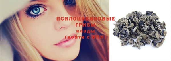 дмт Лабытнанги
