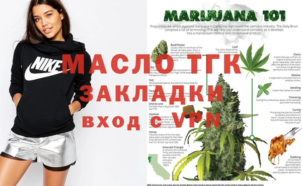 дмт Лабытнанги