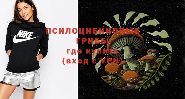 спайс Лагань