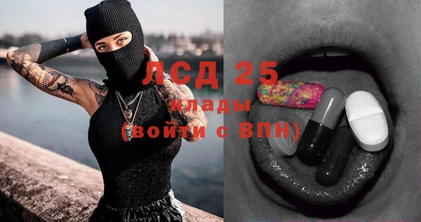 соль ск Ладушкин
