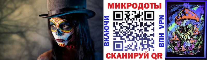 Купить закладки  Гаврилов Посад  Псилоцибиновые грибы Psilocybe 
